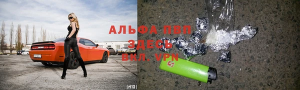 тгк Ельня