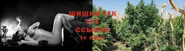 ПСИЛОЦИБИНОВЫЕ ГРИБЫ Елизово