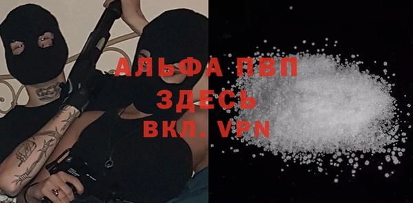 тгк Ельня