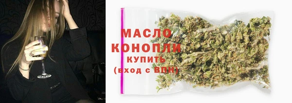 тгк Ельня