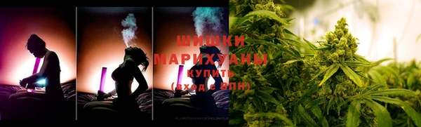 ПСИЛОЦИБИНОВЫЕ ГРИБЫ Елизово