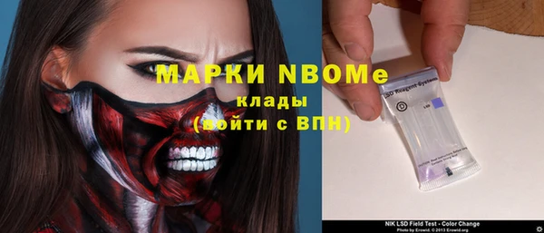 тгк Ельня