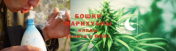 ПСИЛОЦИБИНОВЫЕ ГРИБЫ Елизово