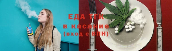 тгк Ельня