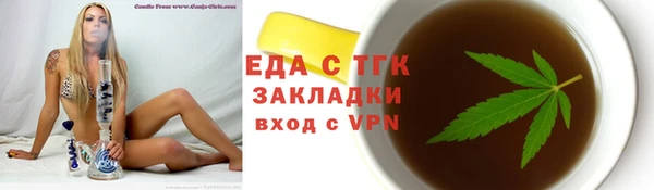 тгк Ельня