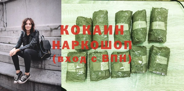 тгк Ельня