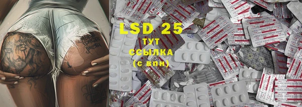 тгк Ельня