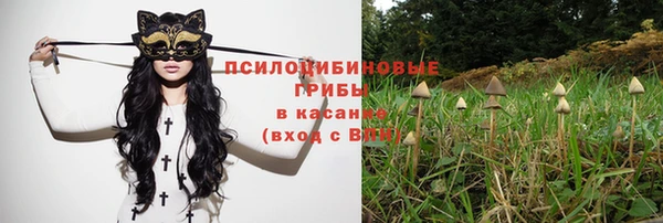 ПСИЛОЦИБИНОВЫЕ ГРИБЫ Елизово