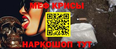 крисы Кунгур