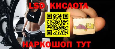 крисы Кунгур