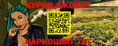 крисы Кунгур