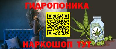 крисы Кунгур