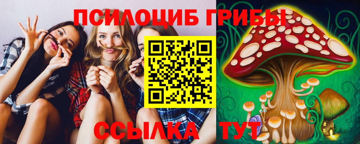 Галлюциногенные грибы GOLDEN TEACHER Октябрьский