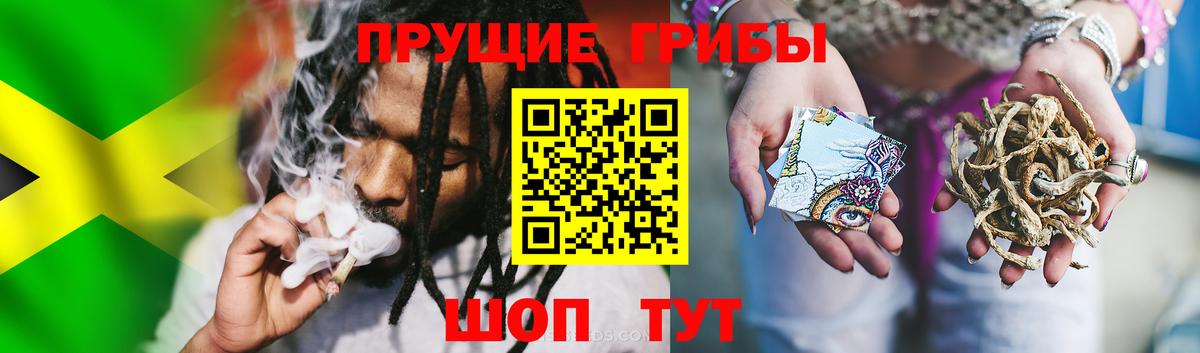 Октябрьский  продажа наркотиков  Галлюциногенные грибы мухоморы  Вход с VPN  Галлюциногенные грибы Psilocybine cubensis 